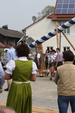 Maibaum 2013